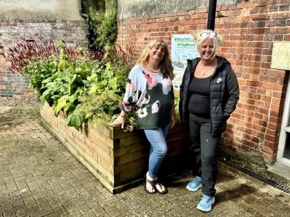 Swansea City Centre raingardens